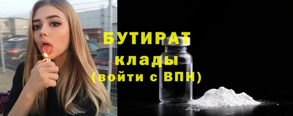 индика Нягань