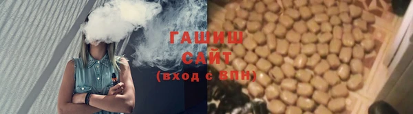ГАЛЛЮЦИНОГЕННЫЕ ГРИБЫ Новозыбков