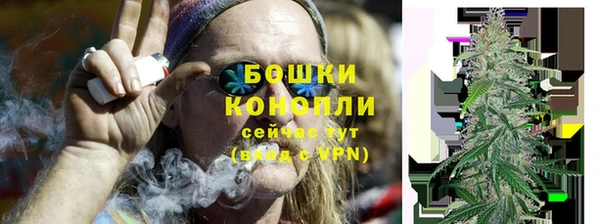 ГАЛЛЮЦИНОГЕННЫЕ ГРИБЫ Новозыбков