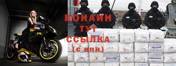 ГАЛЛЮЦИНОГЕННЫЕ ГРИБЫ Новозыбков