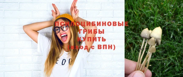 синтетический гашиш Новодвинск