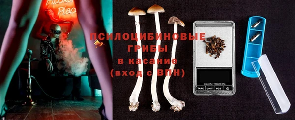 гашик Валуйки